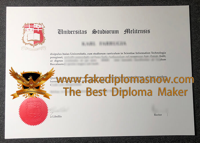 University of Malta degree University of Malta degree