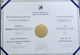 Beirut Arab University diploma