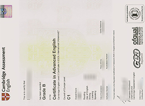 How to buy a fake Cambridge CAE certificate in 2022?
