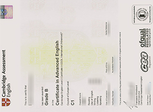 Cambridge CAE certificate