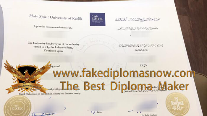Holy Spirit University of Kaslik diploma