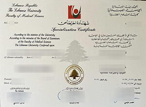 Lebanese University Diploma Certificate