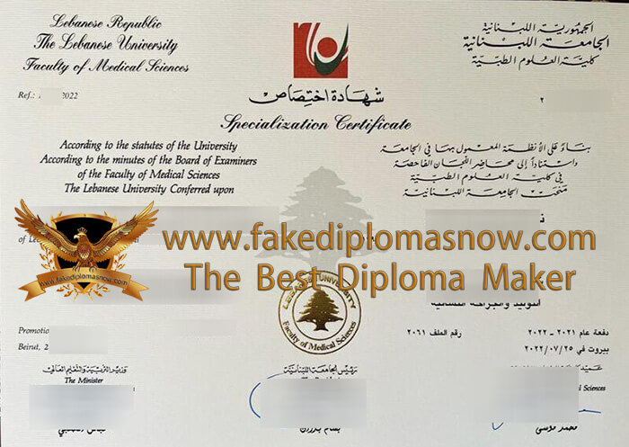 Lebanese University Diploma