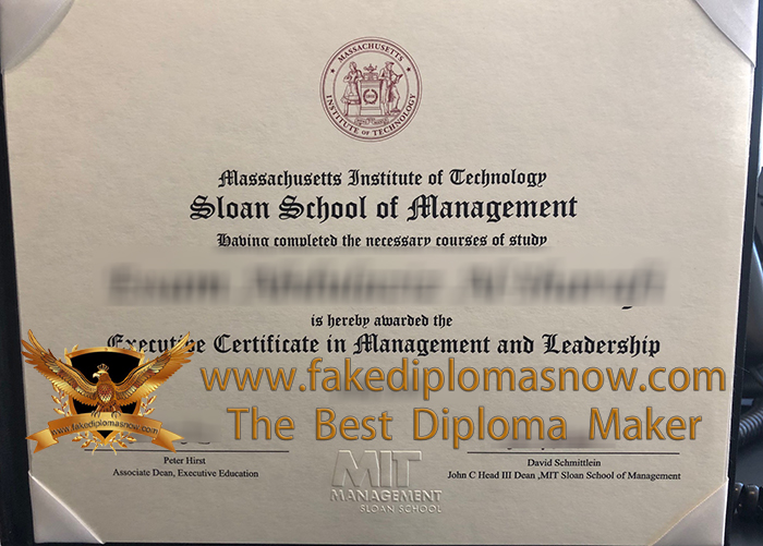 MIT Sloan School of Management certificate