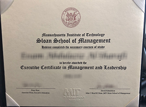 MIT Sloan School of Management certificate