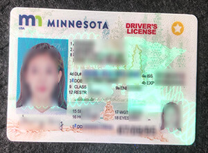 Minnesota driver's license sample