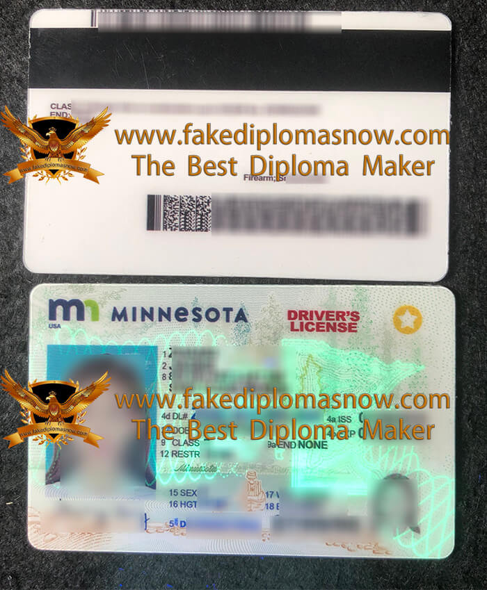 Minnesota driver's license