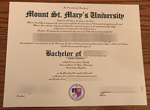 Mount St. Mary's University Diploma