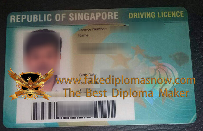 Singapore Driving Licence 