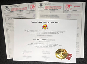 Best Tips To Order Fake University of Calgary degree with transcript