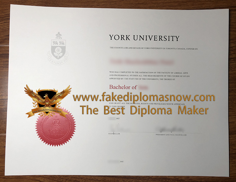 York University Bachelor Degree