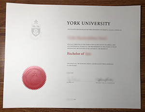 York University Bachelor Degree 2022