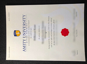 Amity University Diploma, Amity University degree
