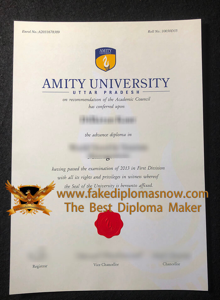 Amity University Diploma, Amity University degree