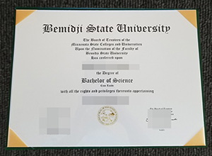 Bemidji State University Diploma certificate