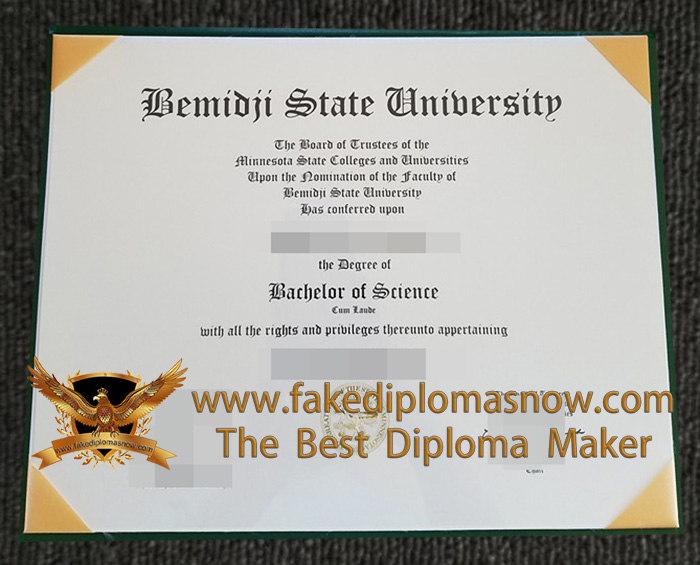Bemidji State University Diploma