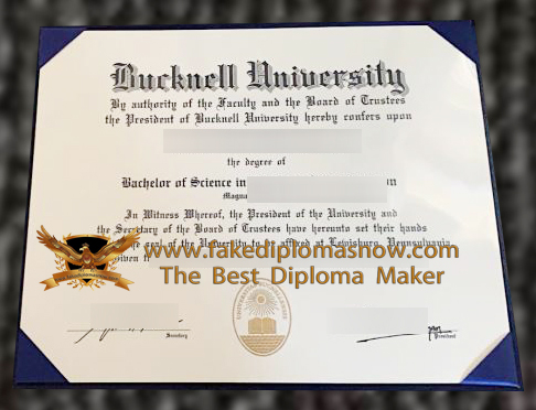 Bucknell University diploma