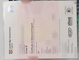 C1 Advanced Certificate