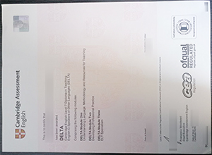 Cambridge DELTA Certificate