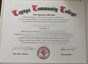 Create a fake Cayuga Community College diploma in New York