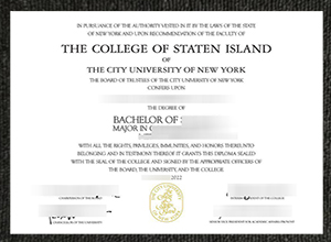 Is It Expensive To Order Fake College of Staten Island (CSI) Diploma Online