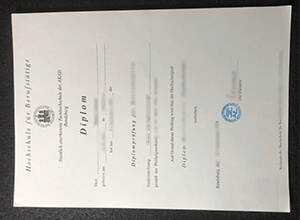 Fachhochschule der akad rendsburg diploma