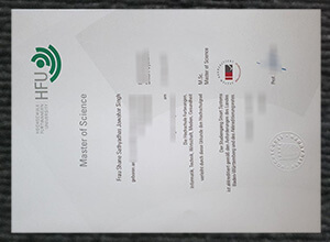 Ordre a fake Hochschule Furtwangen University diploma online