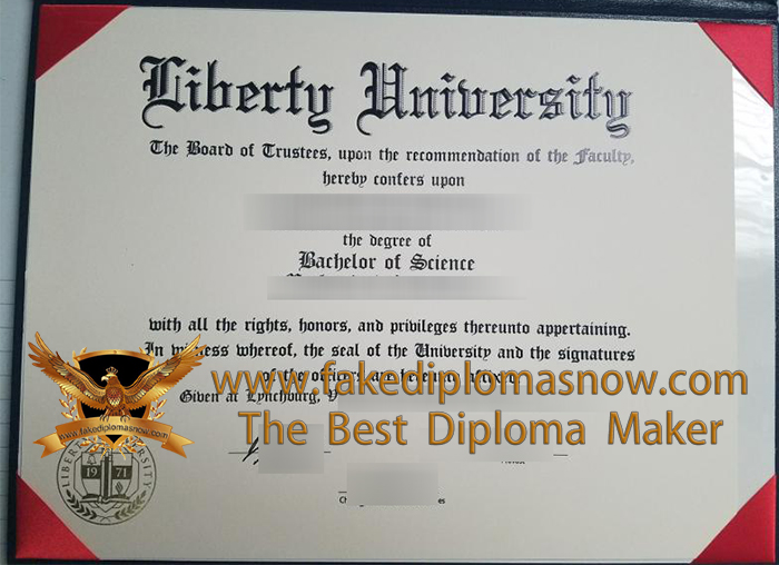 Liberty University BSc diploma