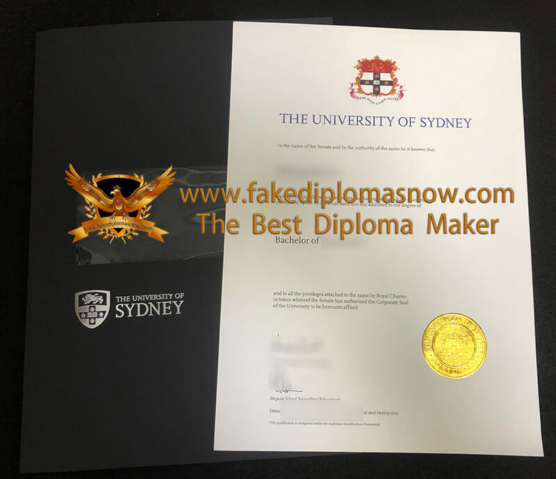 USYD Degree and cover