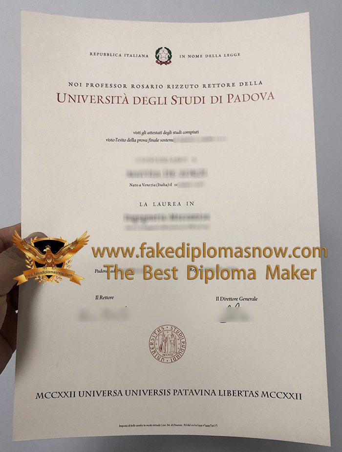 Università degli Studi di Padova diploma, fake UNIPD degree