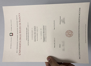 Università degli Studi di Padova diploma, fake UNIPD degree
