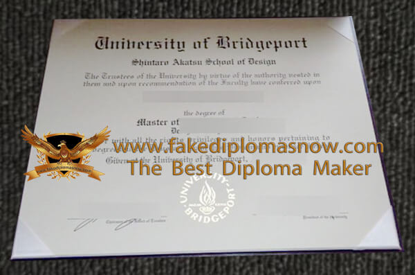 University of Bridgeport Diploma