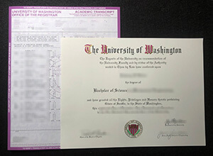 University of Washington degree certificate with transcript