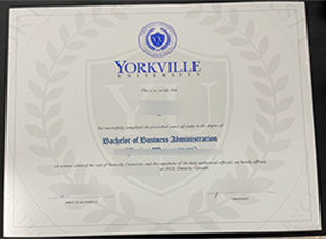 Yorkville University degree certificate