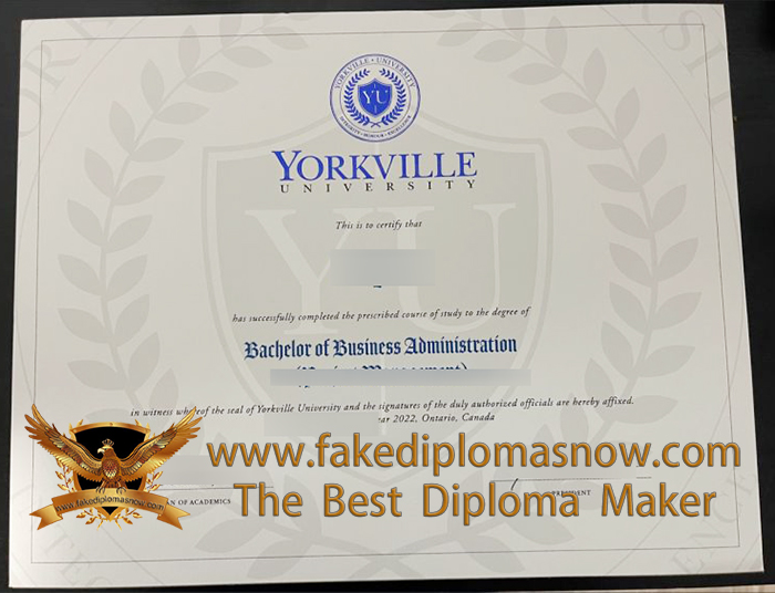 Yorkville University degree certificate, Yorkville University BBA diploma Yorkville University degree certificate