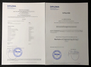 Diploma Hochschule Urkunde