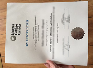 Niagara College degree certificate