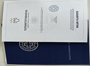 Oulun yliopisto diploma