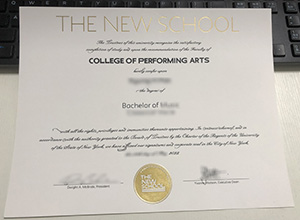 The New School diploma sample, Buy a fake The New School degree