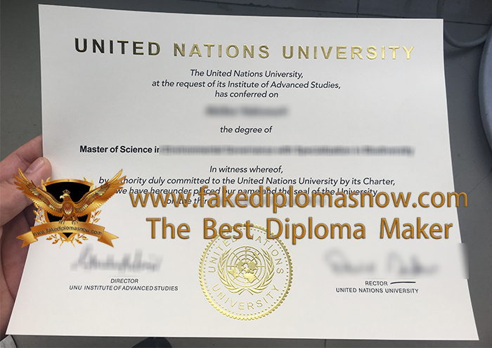 United Nations University diploma