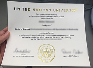 United Nations University master diploma