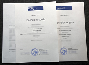 Universität Duisburg-Essen diploma with transcript