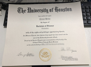 University of Houston Bachelor of Science degree