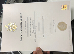 Brunel University London Diploma