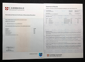 Cambridge IGCSE Certificate And Transcript