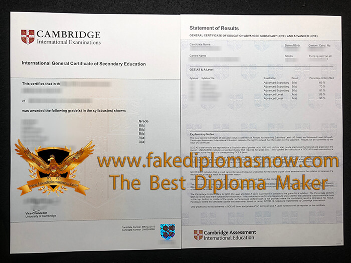 Cambridge IGCSE Certificate and transcript