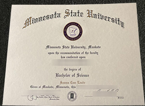 Ideas About Obtain A MNSU Fake Diploma That Really Work