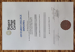 Niagara College Diploma