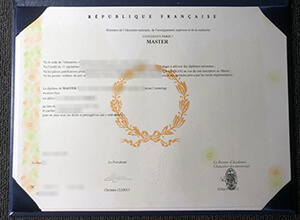 Paris Diderot University diploma