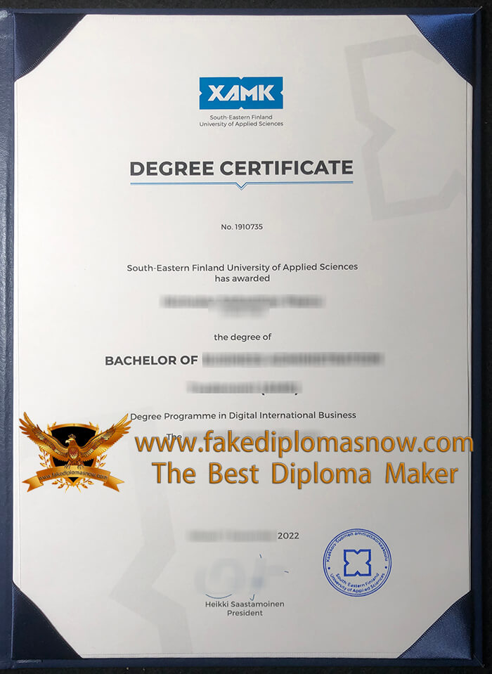 South-Eastern Finland University of Applied Sciences diploma